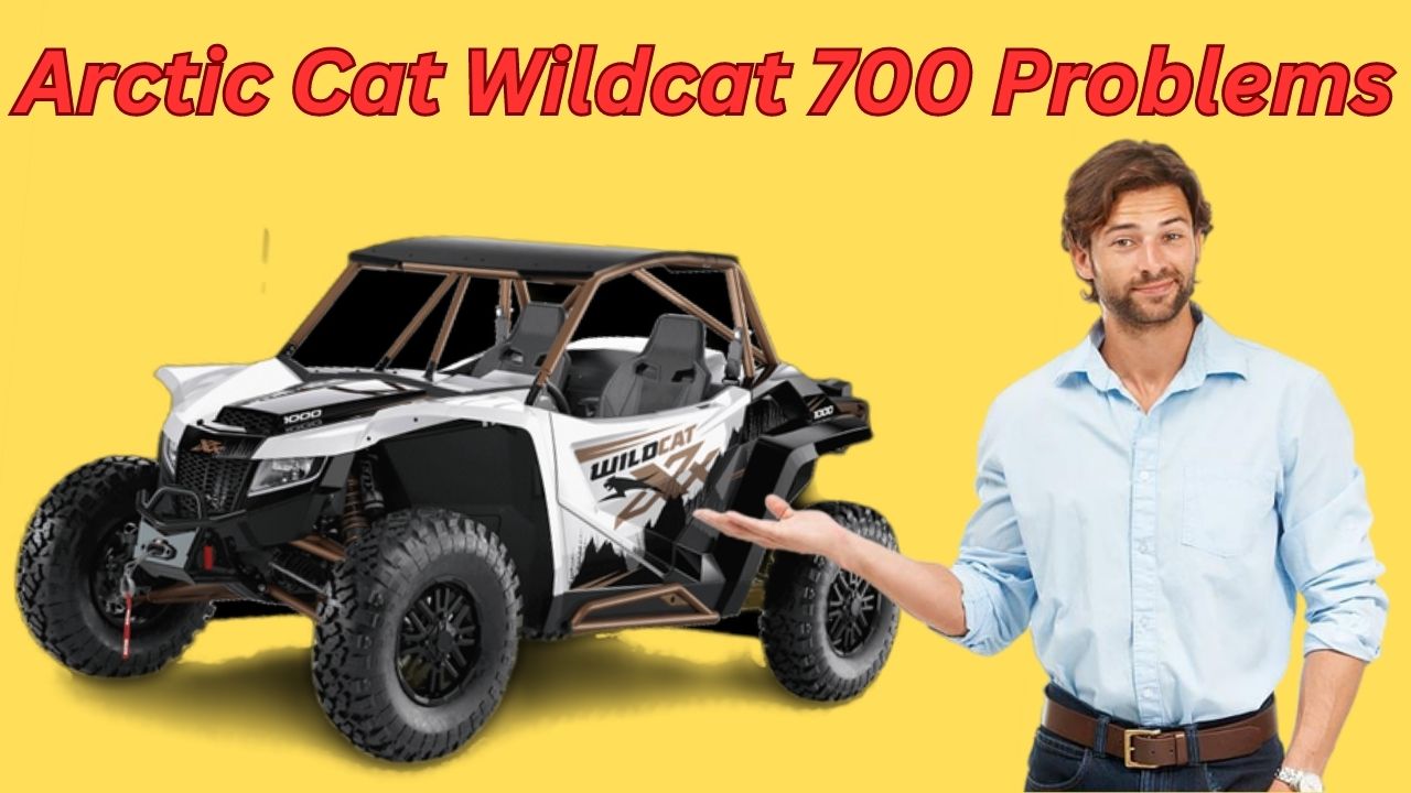 7 Common Arctic Cat Wildcat 700 Problem (With Fixes) Offroad Range